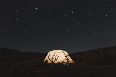 NZ Visitor License - Hunting Trip plans