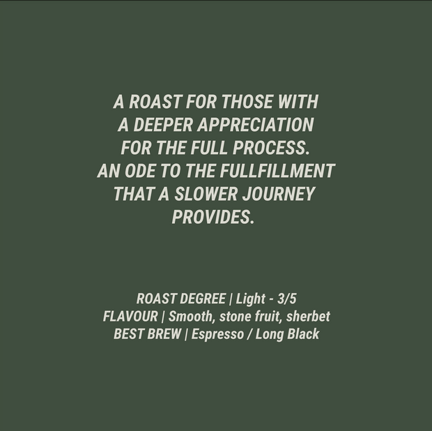Harvest - Light Roast