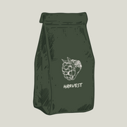 Harvest - Light Roast