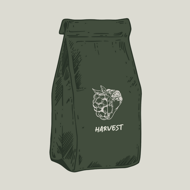 Harvest - Light Roast